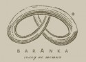 Праздник молодого вина и выступление Non Cadenza в «BarAnka» Праздник молодого вина и выступление Non Cadenza в «BarAnka»